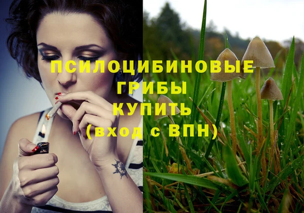 2c-b Алзамай