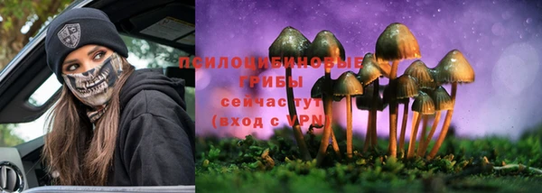 mix Алексин