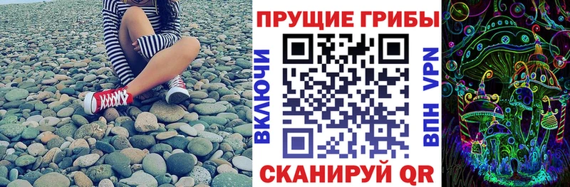 kraken маркетплейс  Шелехов  Галлюциногенные грибы Psilocybe 