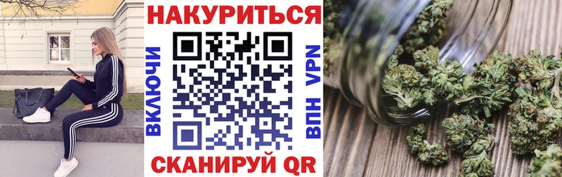 где найти наркотики мега ссылки Бошки марихуана конопля Шелехов